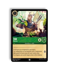 LORCANA Tor fleuriste 91/204-Fr-4